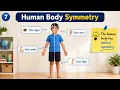 The Prefix SYN Meaning Examples 6 Useful English Words Learn English Vocabulary