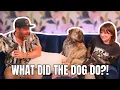 Watch Until the End
