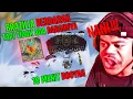 Download Lagu NANii!!! SATU SERVER TURUN DI BRAZILIA \u0026 ZONA PERTAMA SUDAH BOOYAH!!