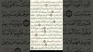 ماهر المعيقلي سورة القصص مكتوبة صفحة 393 مصحف المدينة المنورة جودة عالية 