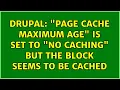 Drupal Page cache maximum age is set to no caching but the block seems to be cached