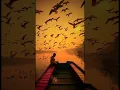 Download Lagu Al Mulk Story Wa
