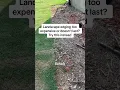 Download Lagu Instead of buying cheap plastic landscape edging, try this.
