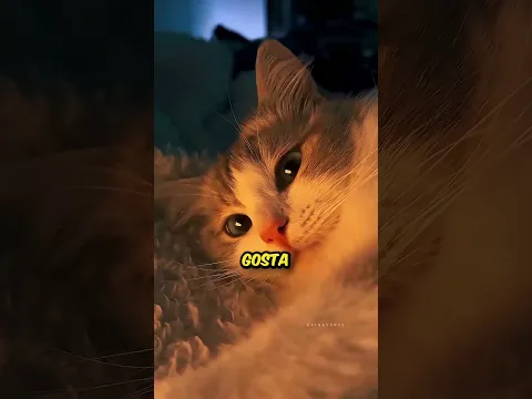 A brincadeira mais fofa