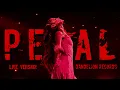 Petal (Live Version With Note Changes) - Ariana Grande 