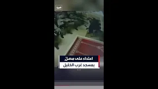 هاجمه كلب بوليسي   قوات الجيش الإسرائيلي تعتدي على شاب داخل مسجد في بلدة ترقوميا غرب الخليل دندنها