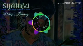 Download Syahiba - Nutup Lawang (lirik) visualiser MP3