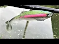 An Epic Injection SwimBait Inject to Catch