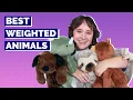 Best Weighted Stuffed Animals - Our Top 5 Picks