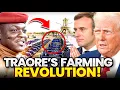 Lagu On Traore's Orders, This Small African Nation Is Producing MORE Food Than Entire Western Countries!