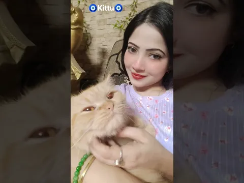 Meri Pyari Si Gudiya 🧿Kittu🧿 #diyaghosh #kittu #catlove #shorts #shortvideo #catshorts