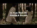 Download Lagu Anuv jain | Dekho na dekho na zulfon se Slowed \u0026 reverb