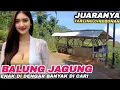 Download Lagu JUARANYA TARLING CIREBONAN | BALUNG JAGUNG | ENAK DI DENGAR BANYAK DI CARI #juraganlagu