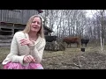 Cattle warts - a natural cure experiment Part 1