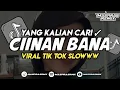 DJ CIINAN BANA ( FAUZANA ) VIRAL TIK TOK SLOWWW