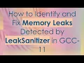 How to Identify and Fix Memory Leaks Detected by LeakSanitizer in GCC-11