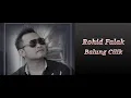 Download Lagu Rohid Falak - Balung Cilik