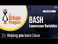 Mastering Bash Utilizing declare - l to Handle Lowercase Variables Enhancing Script Input Processing