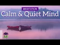 20 Minute Guided Meditation for Anxiety Quiet the Busy Mind Mindful Movement