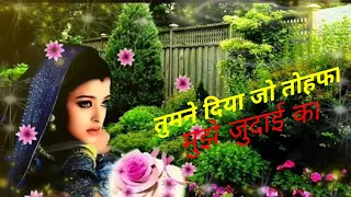 tumne diya jo tohfa mujhe judai ka phir bebafai songs female voice lauric