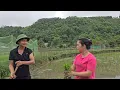 Download Lagu A Kind Man Helped a Single Mother Plant Rice on a Rented Field