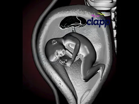 Amazing Baby Movements Inside the Womb 🤰👶 | Amazing Fetal Movements & Baby Kicks #Shorts