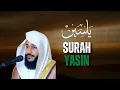 Surah Yaseen | Abdulrahman Al Ossi | English Translation