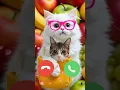 Download Lagu Cat Callertone #shorts #ringtone #cat