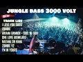 Lagu DJ JUNGLE DUTCH TERBARU 2019 | BASS 3000 VOLT  (INDO PARTY V.2)