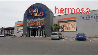 Ojos Locos Sports Cantina and Casino wow