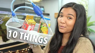 10 Things Every Turtle Keeper NEEDS will shock you