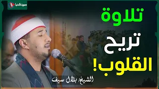 الشيخ بلال سيف يبدع في سورة العنكبوت دندنها