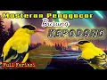 Download Lagu Wajib dicoba!!Masteran burung kepodang suara keras bikin bongkar fariasi