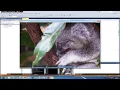 ffmpeg 05 Decode And Display