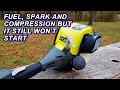 Free Ryobi 4 cycle trimmer problems