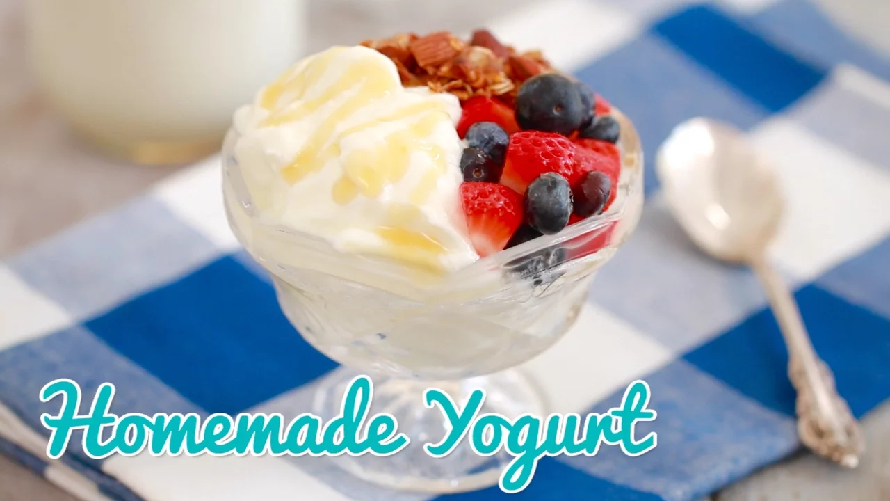 How to Make Yogurt - Gemma