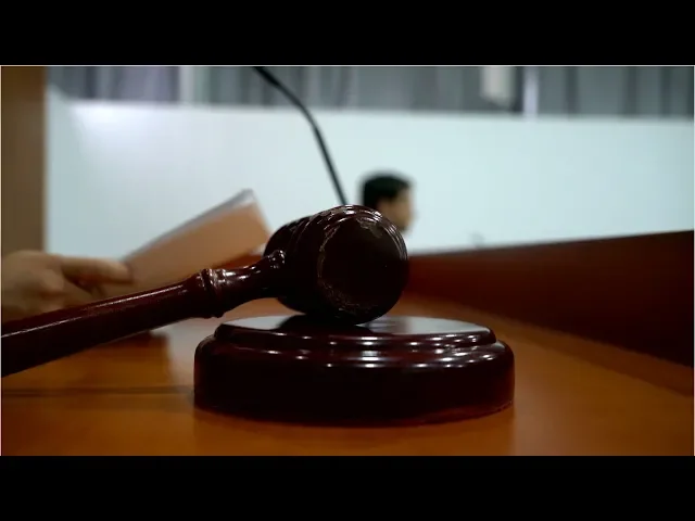 Judicial Law Clerks