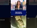 NJ police vs one VERY angry beaver