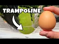 Download Lagu Can A Trampoline Save This Egg? 165m Drop