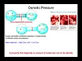 Lec20 - Boiling Point Elevation Freezing Point Depression and Osmotic Pressure