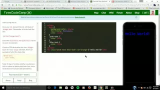 Freecodecamp Walk Thru - Override Class Declarations by Styling ID Attributes