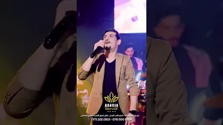 الوضع بدو شفر مرسيدس حتا همر كامله اسيل الاحمد  الخليج العربي اردن عمان مصر تونس المغرب العراق دندنها