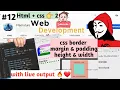 css border margin and padding height and width properties in css by flamature