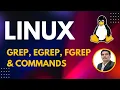 Part 11 - for Testers grep egrep fgrep commands