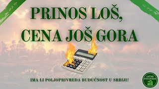 da li treba investirati u poljoprivredu u srbiji rezultati proizvodnje suncokreta 2023