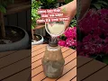 Download Lagu Magie van bakpoeder 🌿 | Laat uw kamerplanten voor altijd groen blijven!