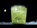 Applebees Dollarita margaritas Missy Elliot commercial may 2024
