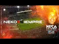 FABIAN RIVEROS - NEKOXSIEMPRE X VARIOS ARTISTAS