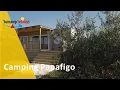 Download Lagu Camping Papafigo | Suncamp