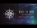 Lost Frequencies - What Is Love 2016 (Galactic Marvl Remix)